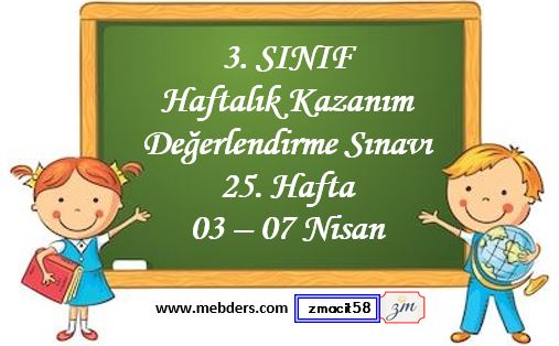 3. Sınıf Haftalık Kazanım Değerlendirme Testi 25. Hafta (03 - 07 Nisan)